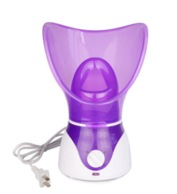 Ion Hot Spray Steamer - Violet