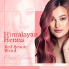 Hair Bloom Natural Red Hair Color- Henna w/ Mixed Himalayan Herbs Hair Color Powder- 12 Individual Sachets (10 gm each)- Reusable Brush & Tray Include